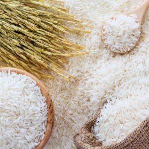 Rice